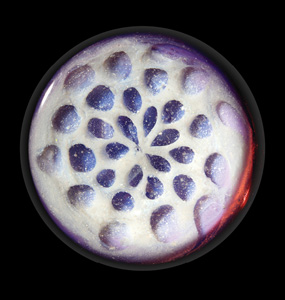 MARBLE 05
